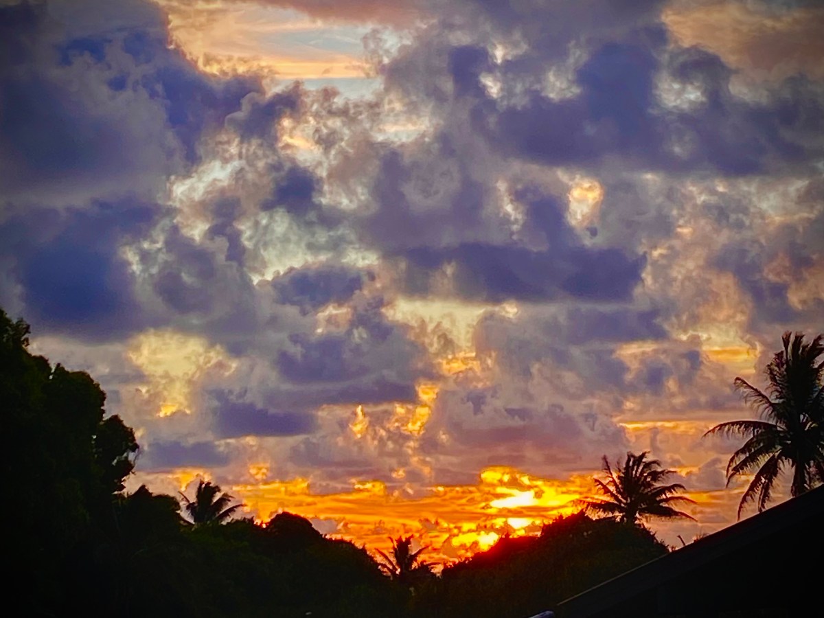 The Plans God Laughs&nbsp;At